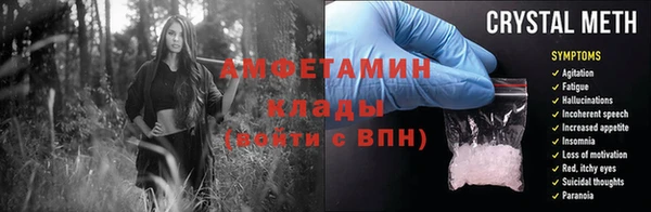 сатива Аркадак