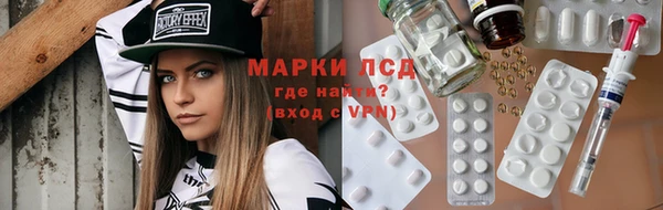 сатива Аркадак