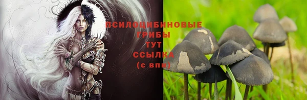 трава Армянск