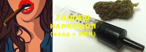 сатива Аркадак