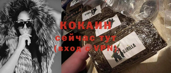сатива Аркадак