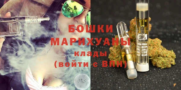 сатива Аркадак