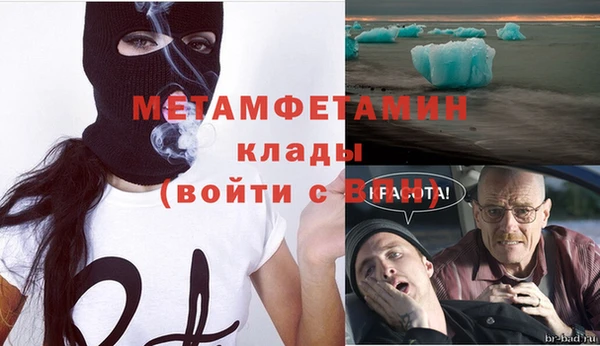 сатива Аркадак