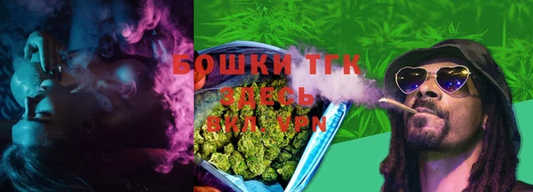 сатива Аркадак