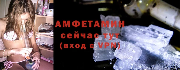 сатива Аркадак